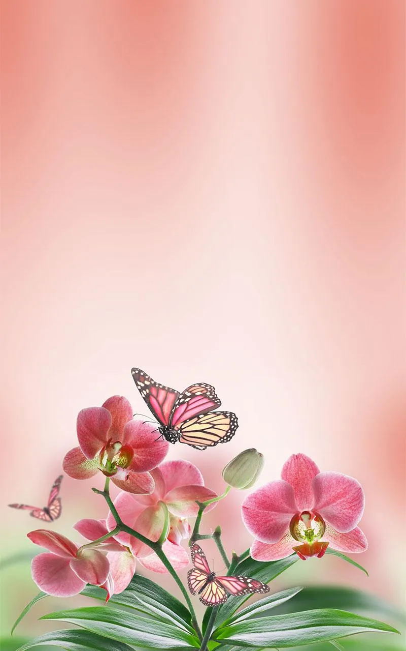 Butterfly Live Wallpaper | Indus Appstore | Screenshot