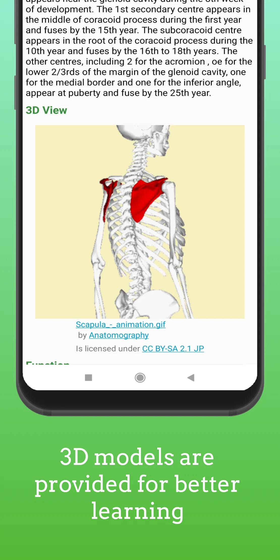 Human Skeleton 3D ( Anatomy ) | Indus Appstore | Screenshot