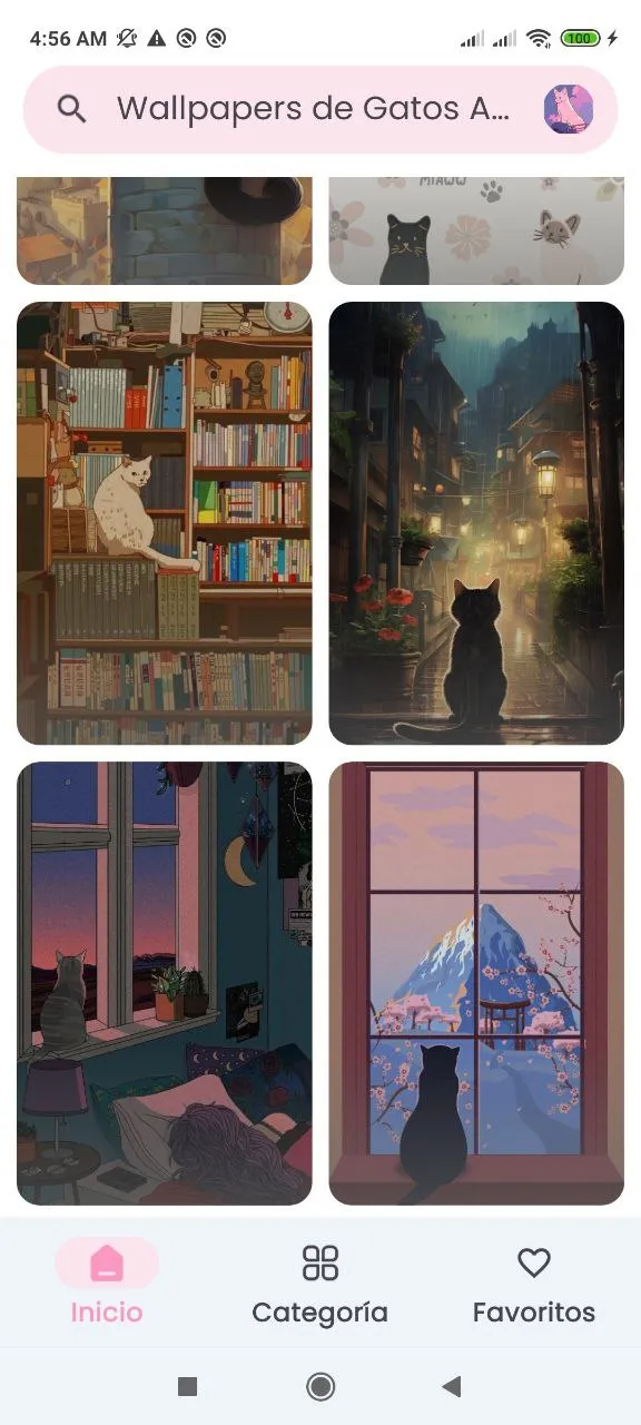 Aesthetic Cats Wallpapers | Indus Appstore | Screenshot