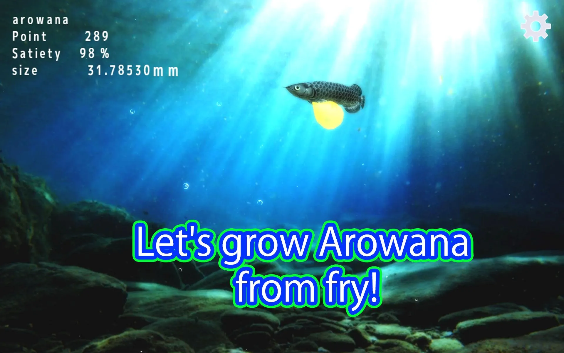 Arowana raising from fry | Indus Appstore | Screenshot