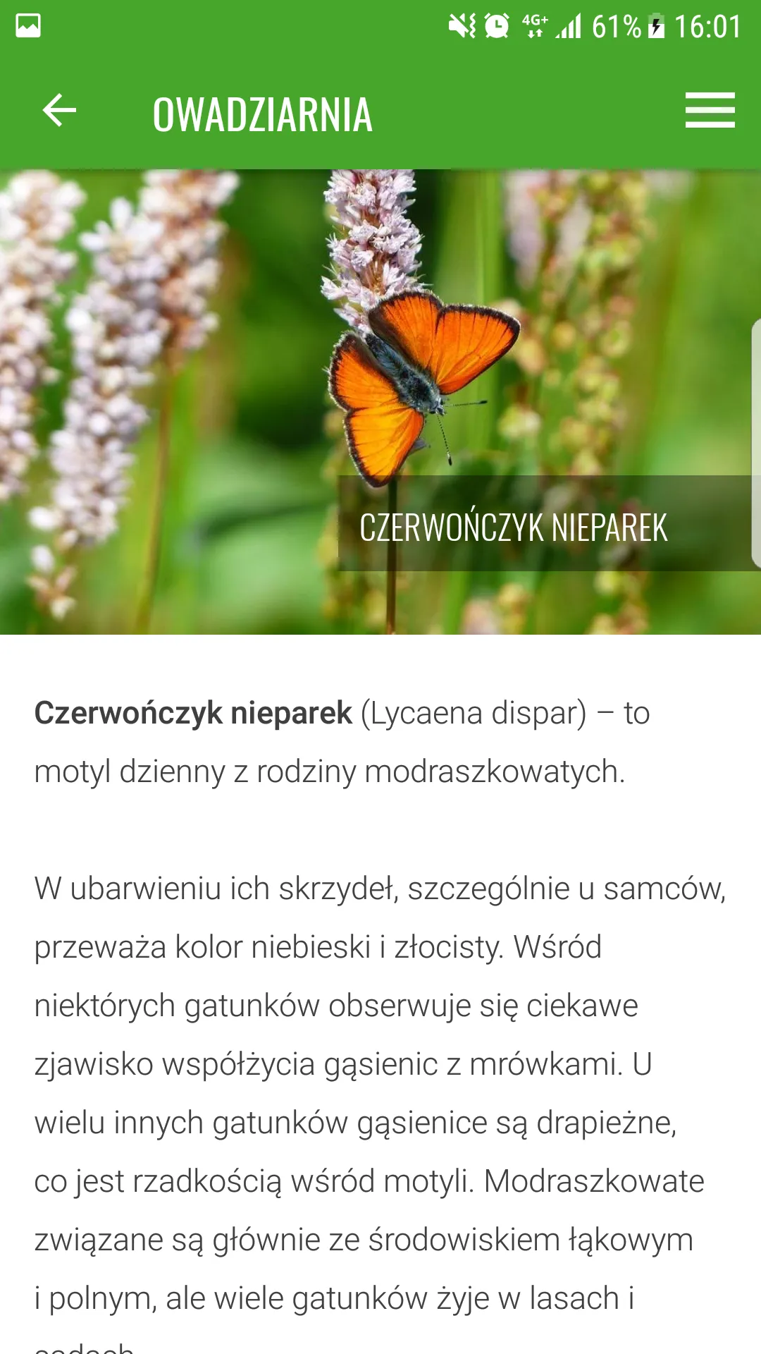 Izerska Łąka | Indus Appstore | Screenshot