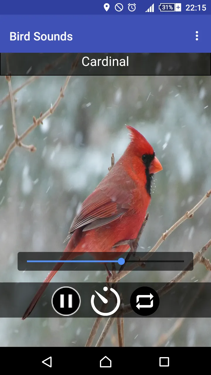 Relax & Sleep with Bird Sounds | Indus Appstore | Screenshot