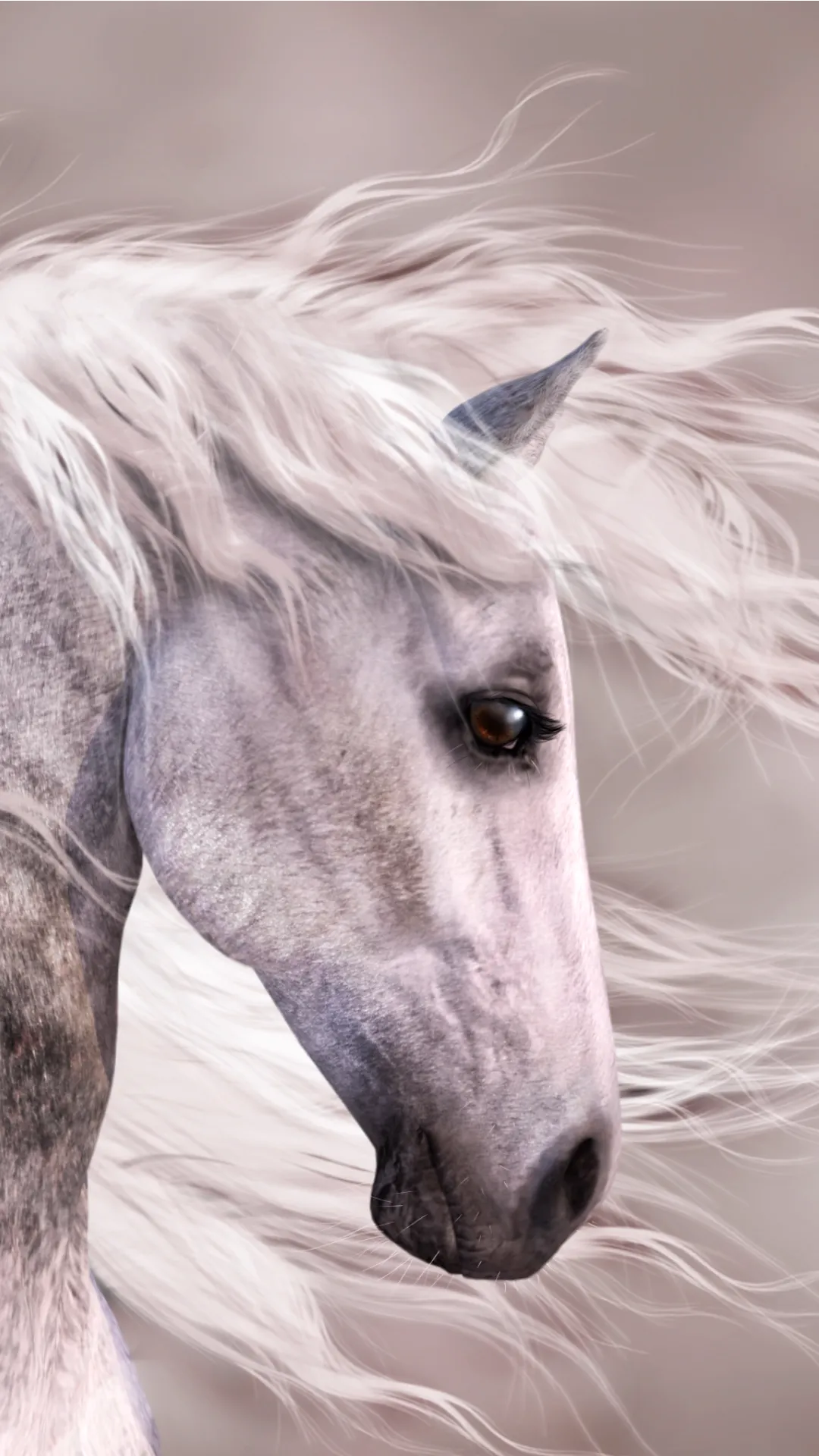 Horse Wallpapers | Indus Appstore | Screenshot