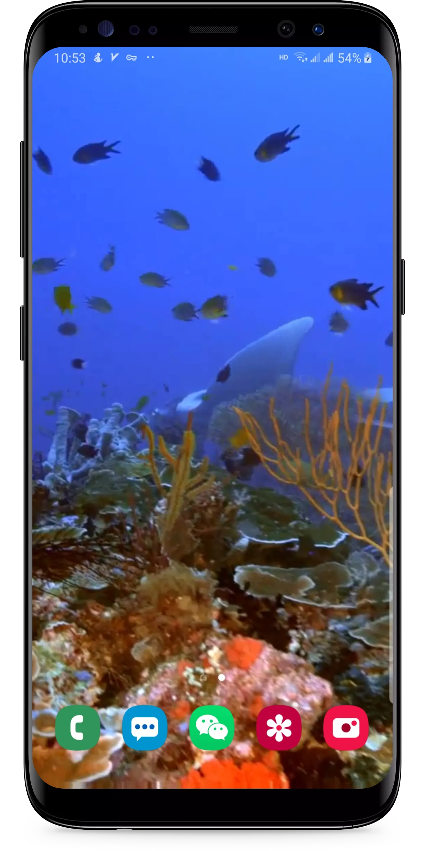 Real Aquarium Live Wallpaper | Indus Appstore | Screenshot