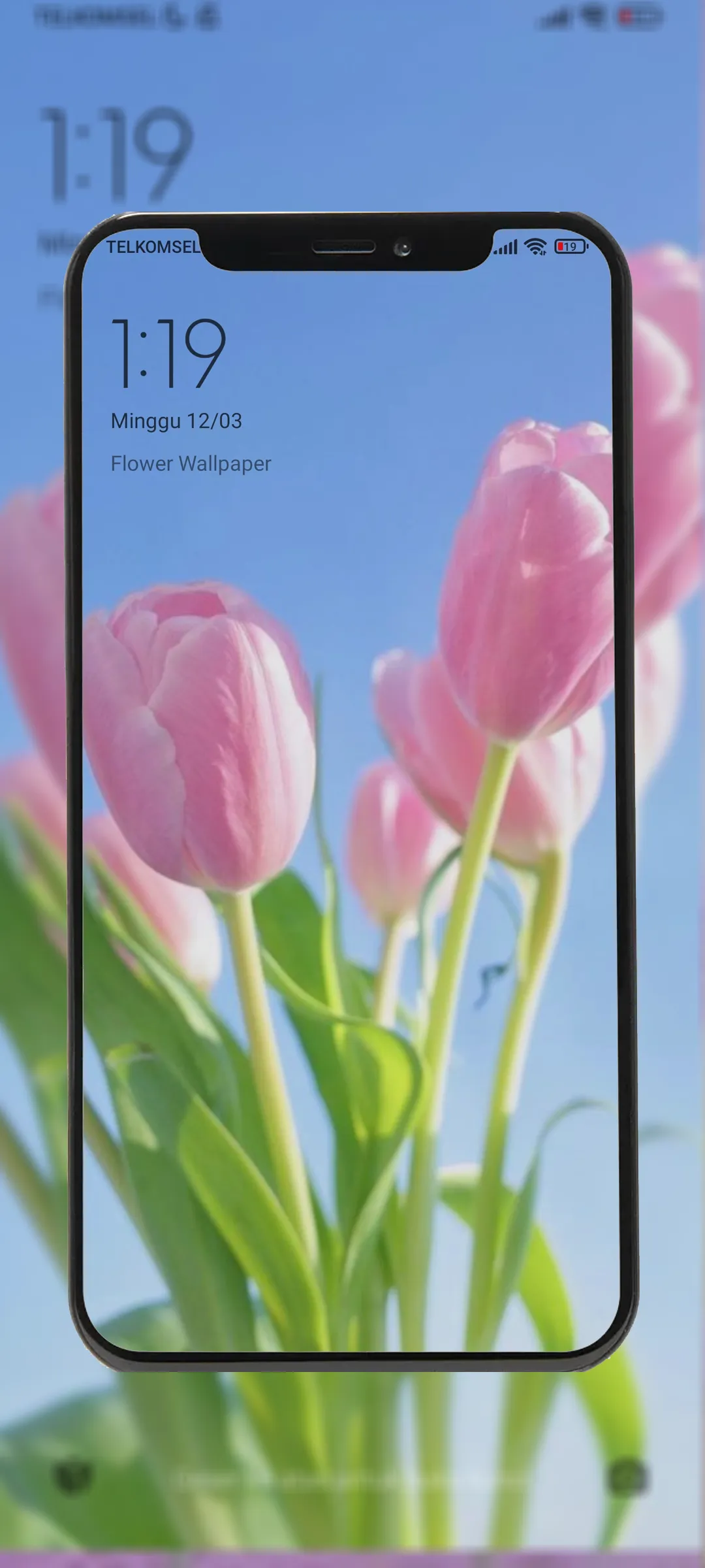 Flower Wallpapers Offline | Indus Appstore | Screenshot