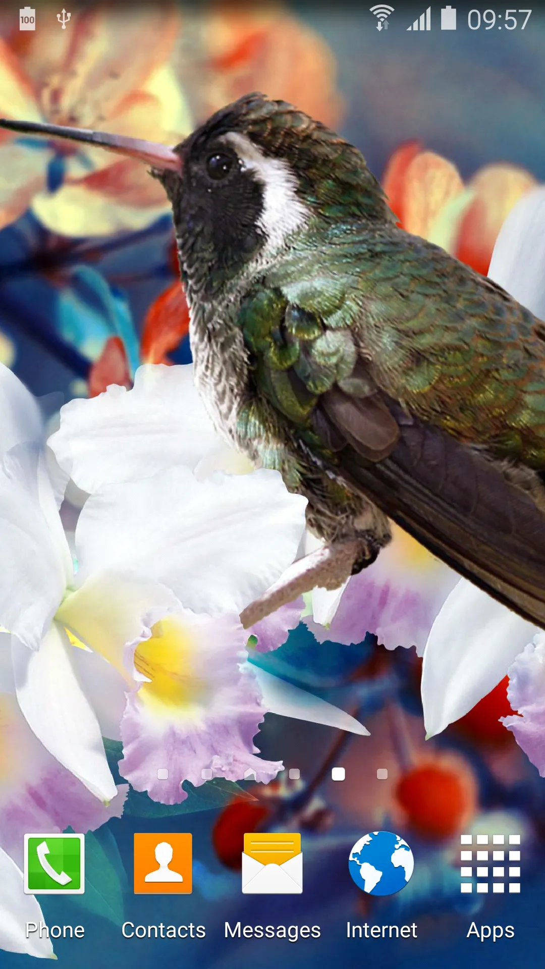 Hummingbirds Live Wallpaper | Indus Appstore | Screenshot