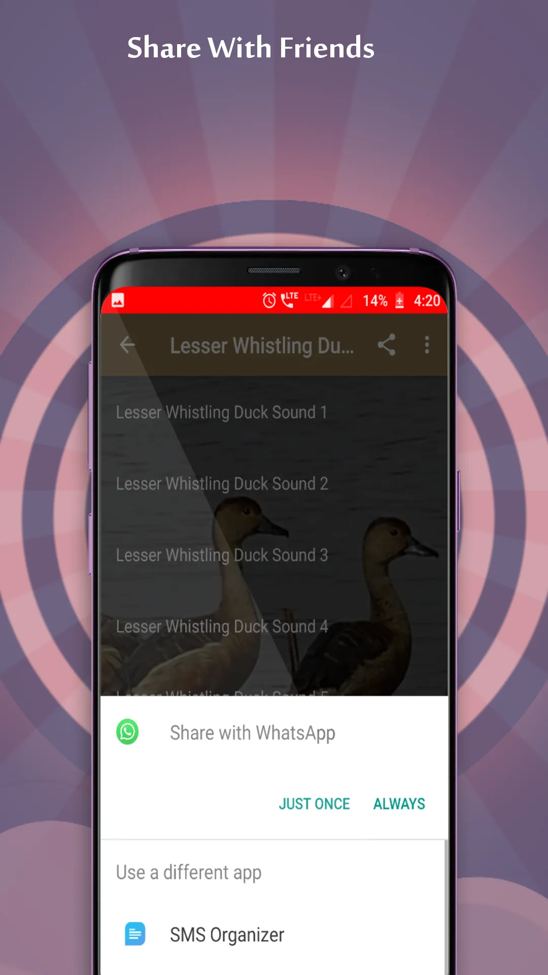 Lesser Whistling Duck Sounds | Indus Appstore | Screenshot