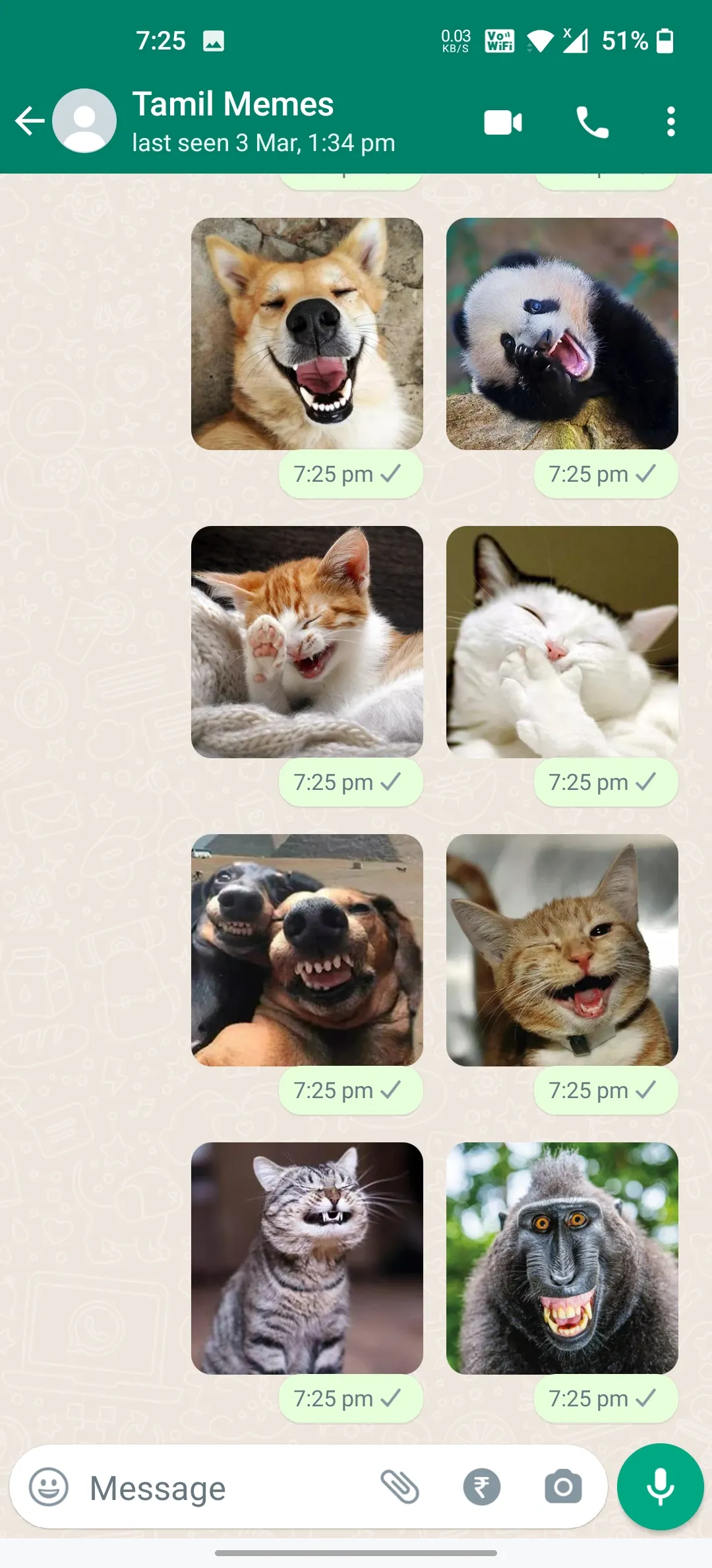 Animals Laughing Stickers | Indus Appstore | Screenshot