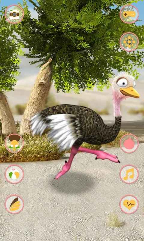 Talking Ostrich | Indus Appstore | Screenshot