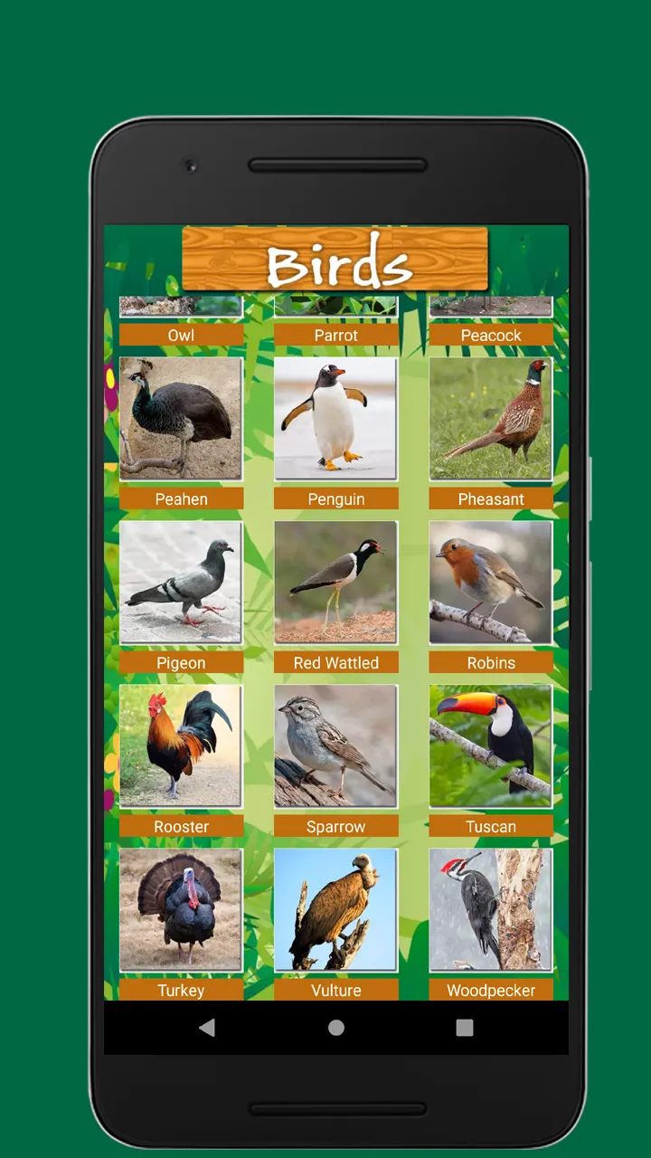 Birds & Animal Sounds | Indus Appstore | Screenshot