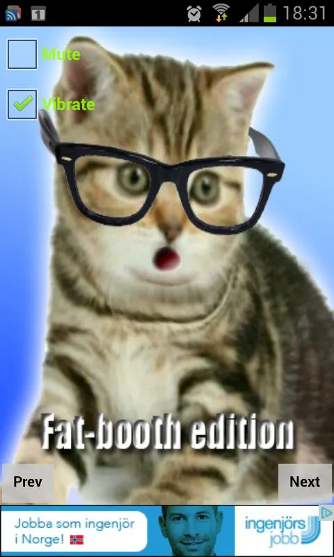 Crazy Hipster Cat | Indus Appstore | Screenshot