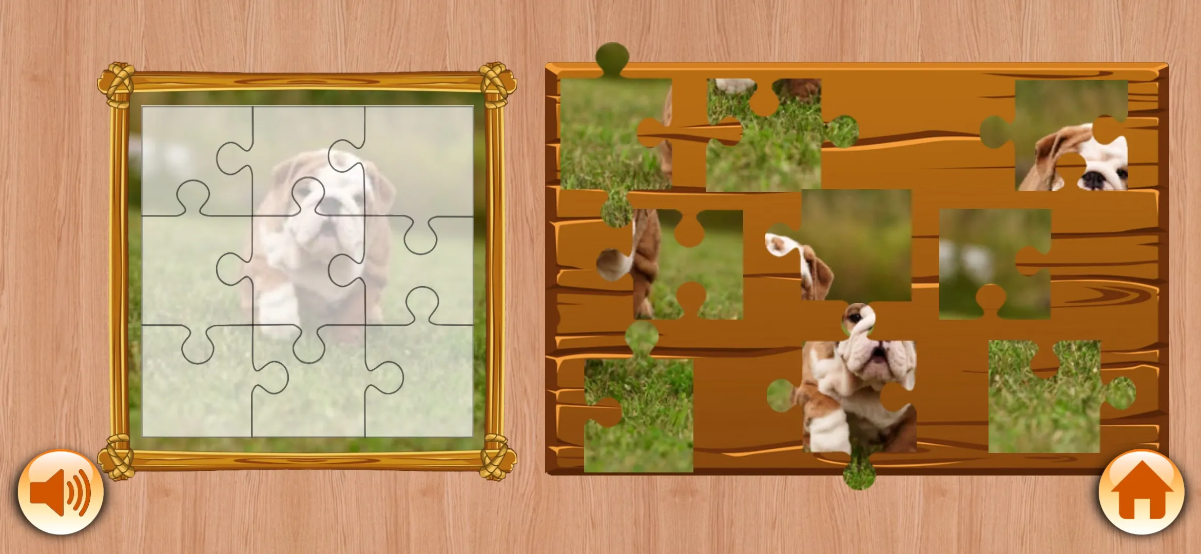 Nice Dogs Puzzles | Indus Appstore | Screenshot