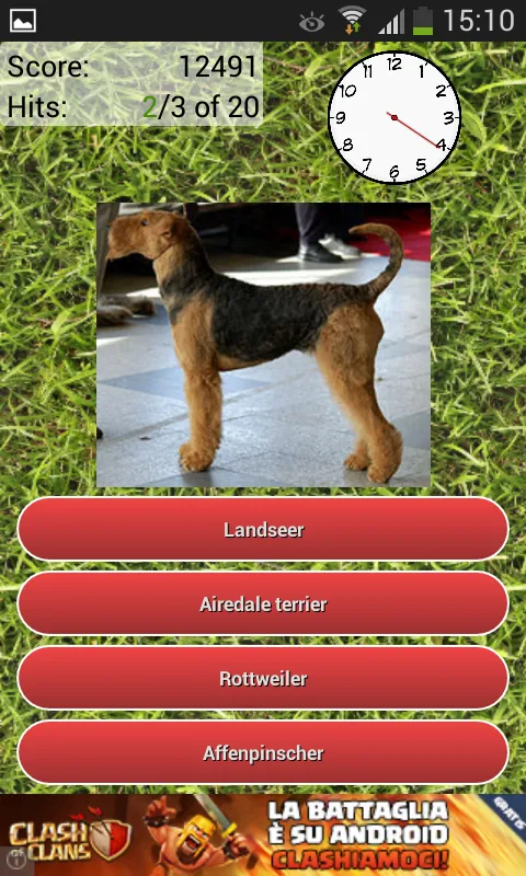 Dog Breeds Quiz | Indus Appstore | Screenshot