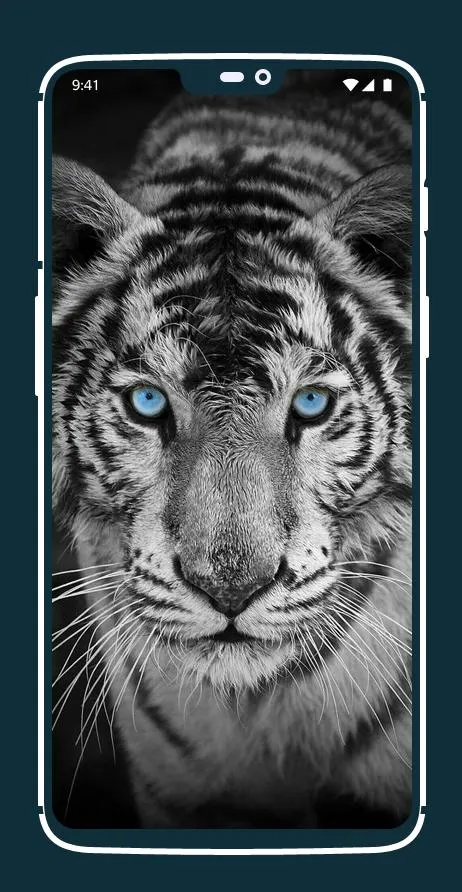 Tiger Wallpapers | Indus Appstore | Screenshot