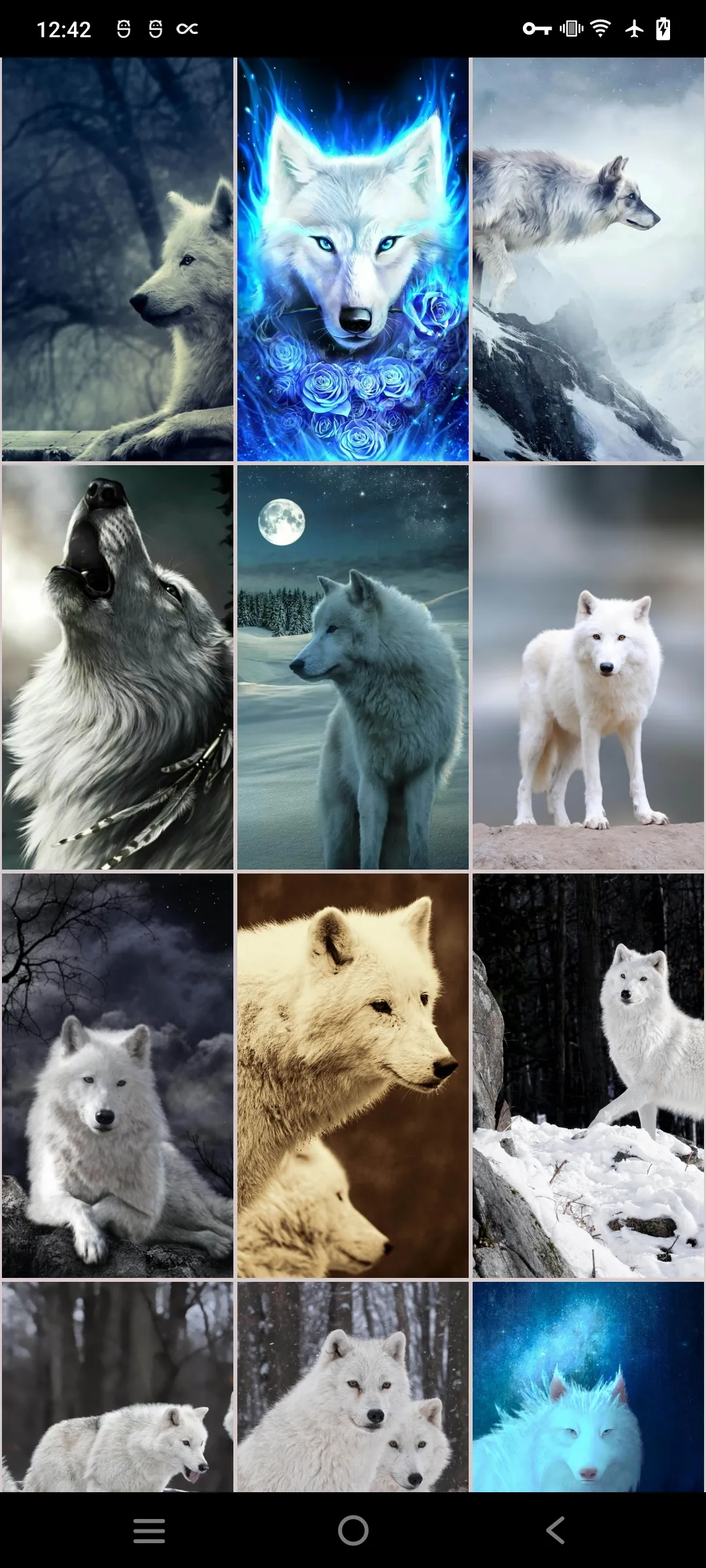 White (Polar) Wolf Wallpapers | Indus Appstore | Screenshot