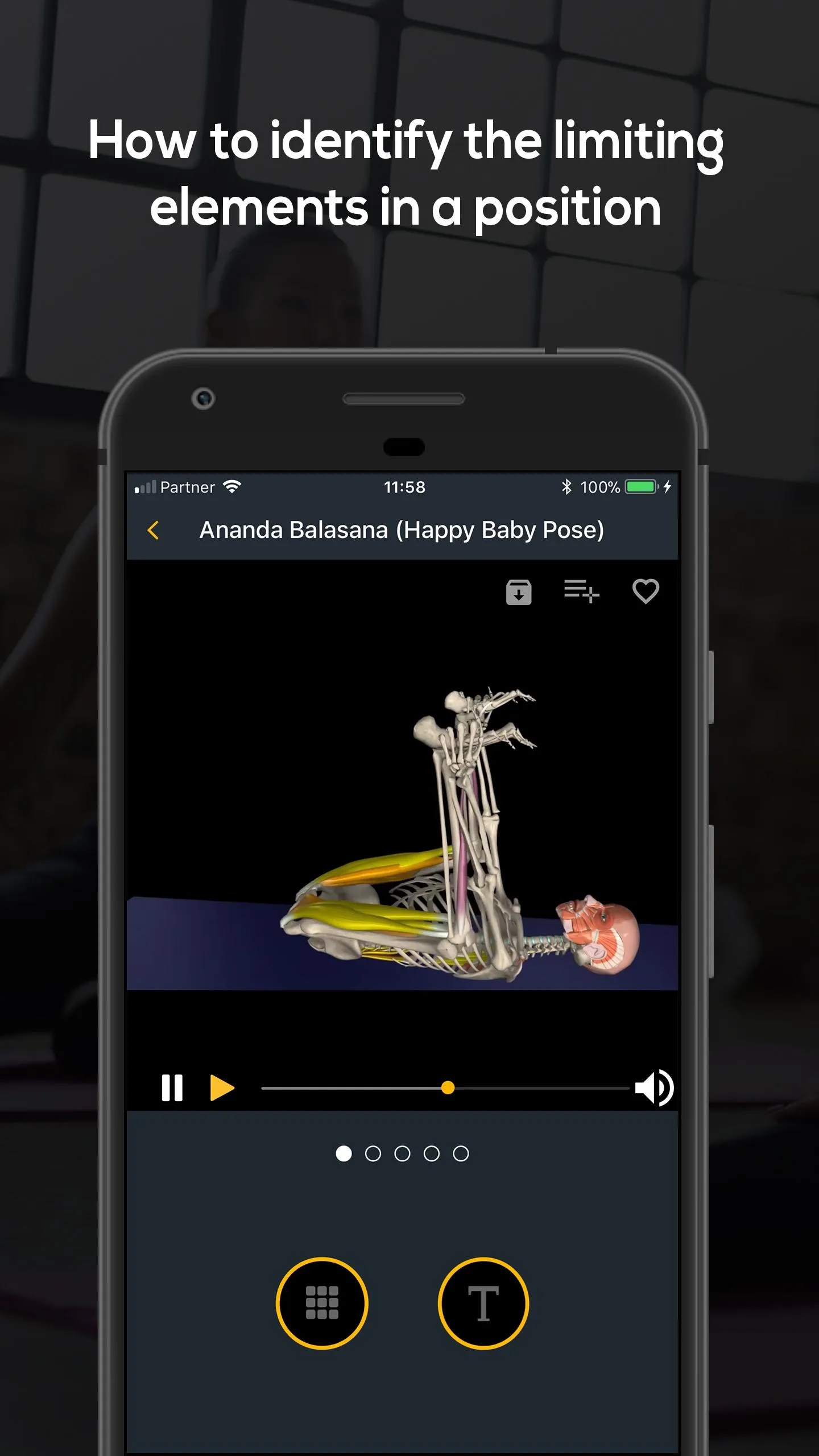 Yoga Anatomy | Indus Appstore | Screenshot