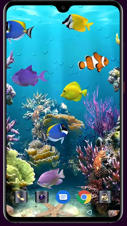 HD Fish Wallpaper | Indus Appstore | Screenshot