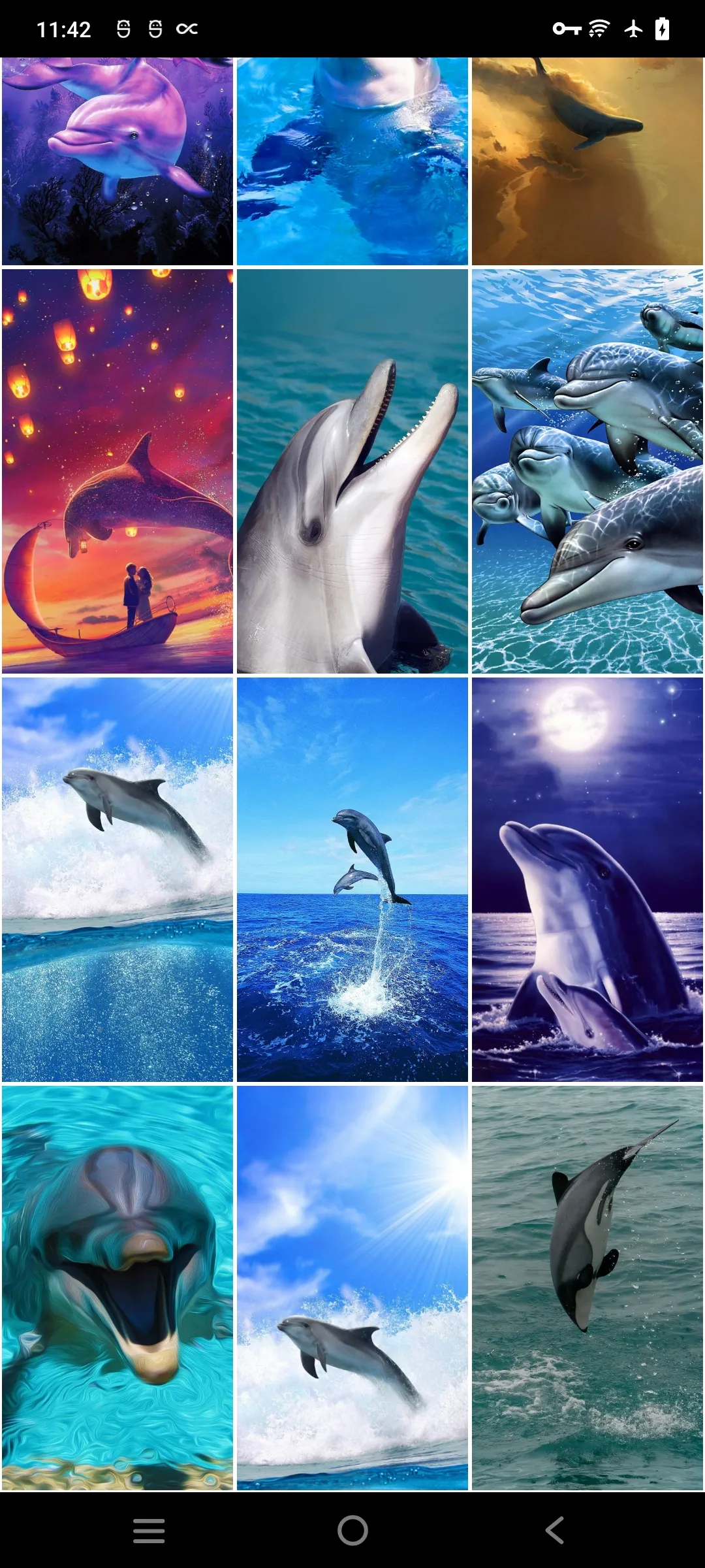 Dolphin Wallpapers | Indus Appstore | Screenshot