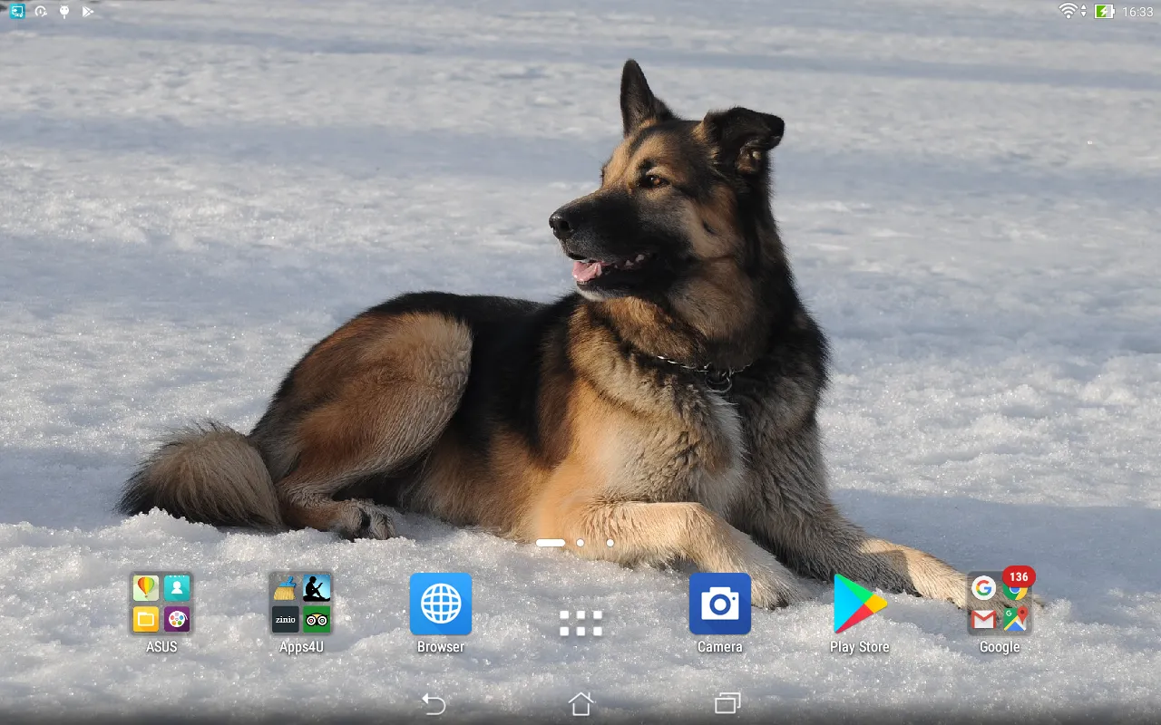 Sheepdogs live wallpaper | Indus Appstore | Screenshot