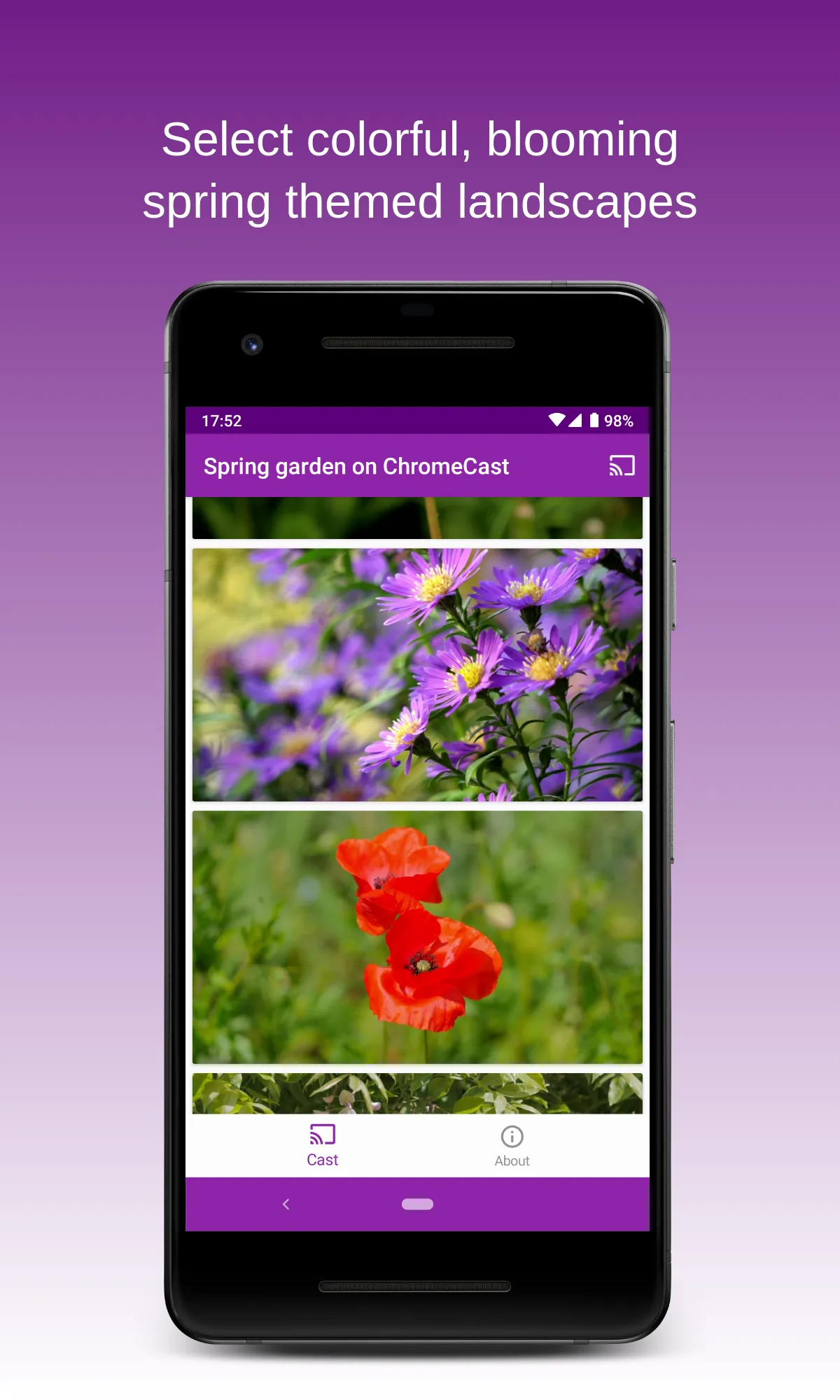 Spring Garden on Chromecast | Indus Appstore | Screenshot