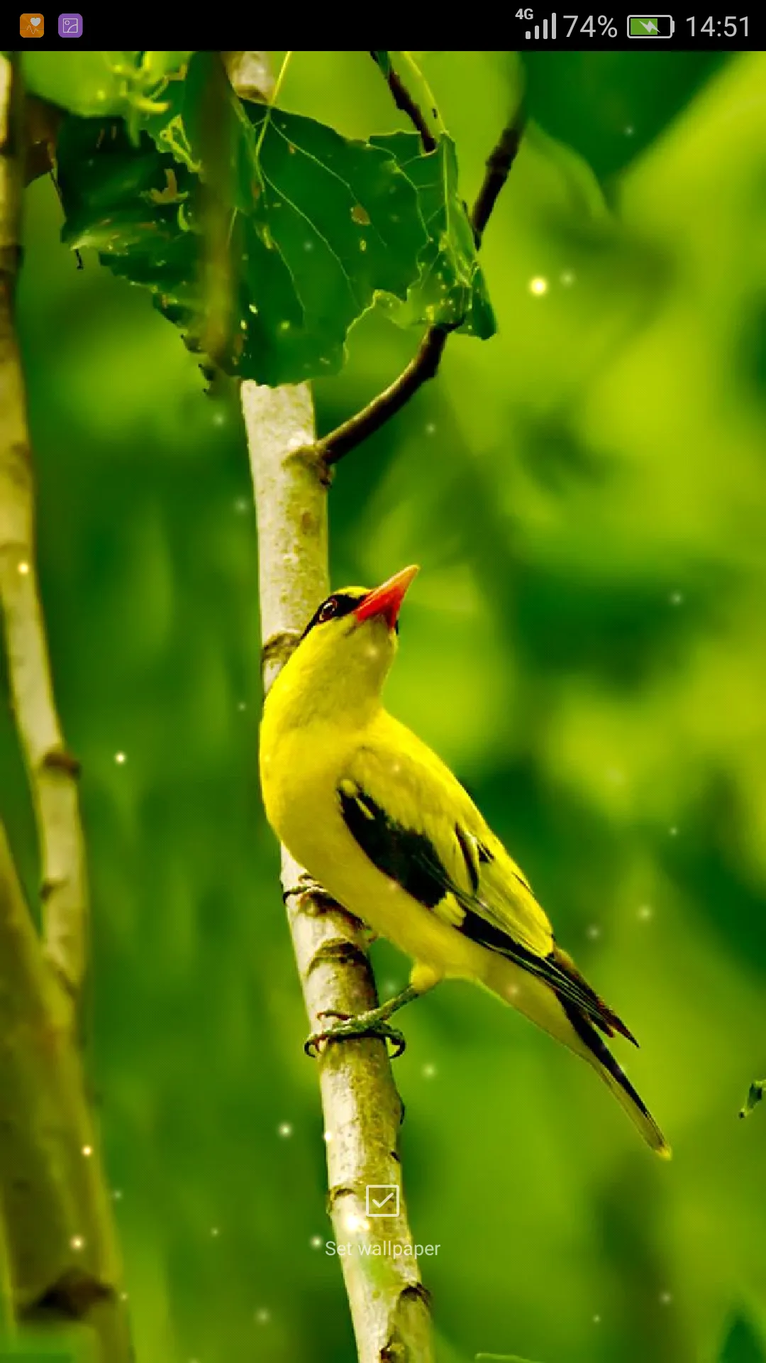 Birds Sounds Ringtones | Indus Appstore | Screenshot