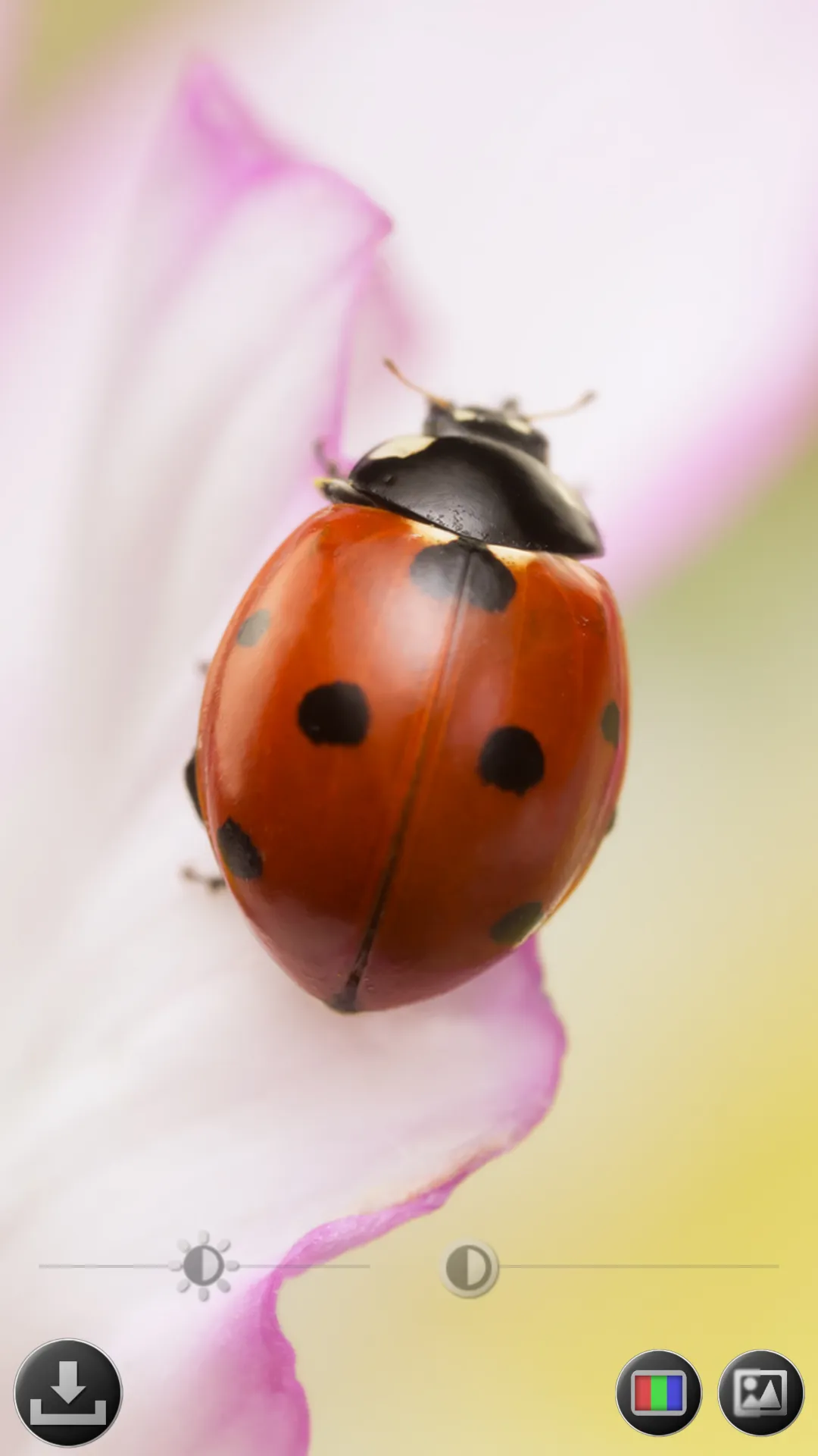 Magnifier & Microscope [Cozy] | Indus Appstore | Screenshot