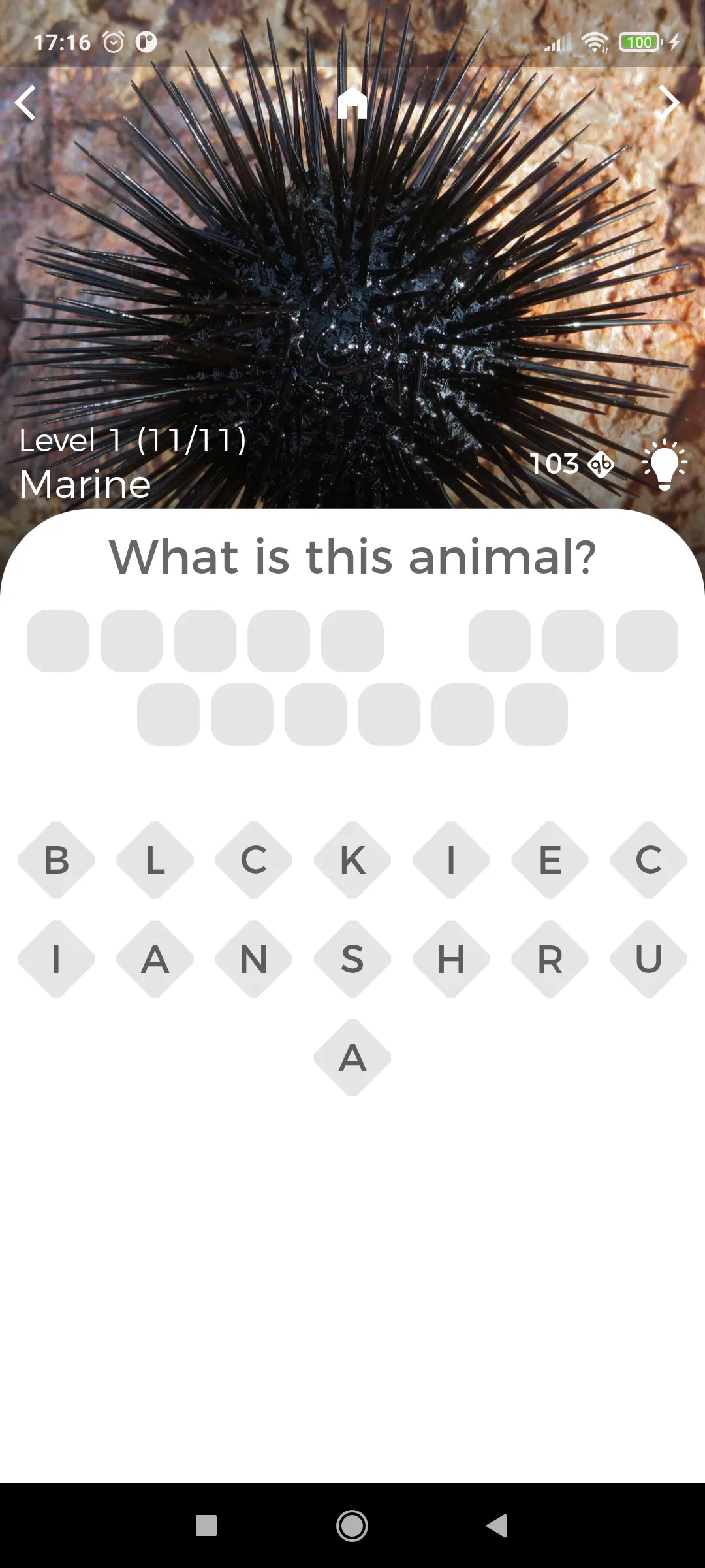 Animals Quest - Fun Quiz | Indus Appstore | Screenshot