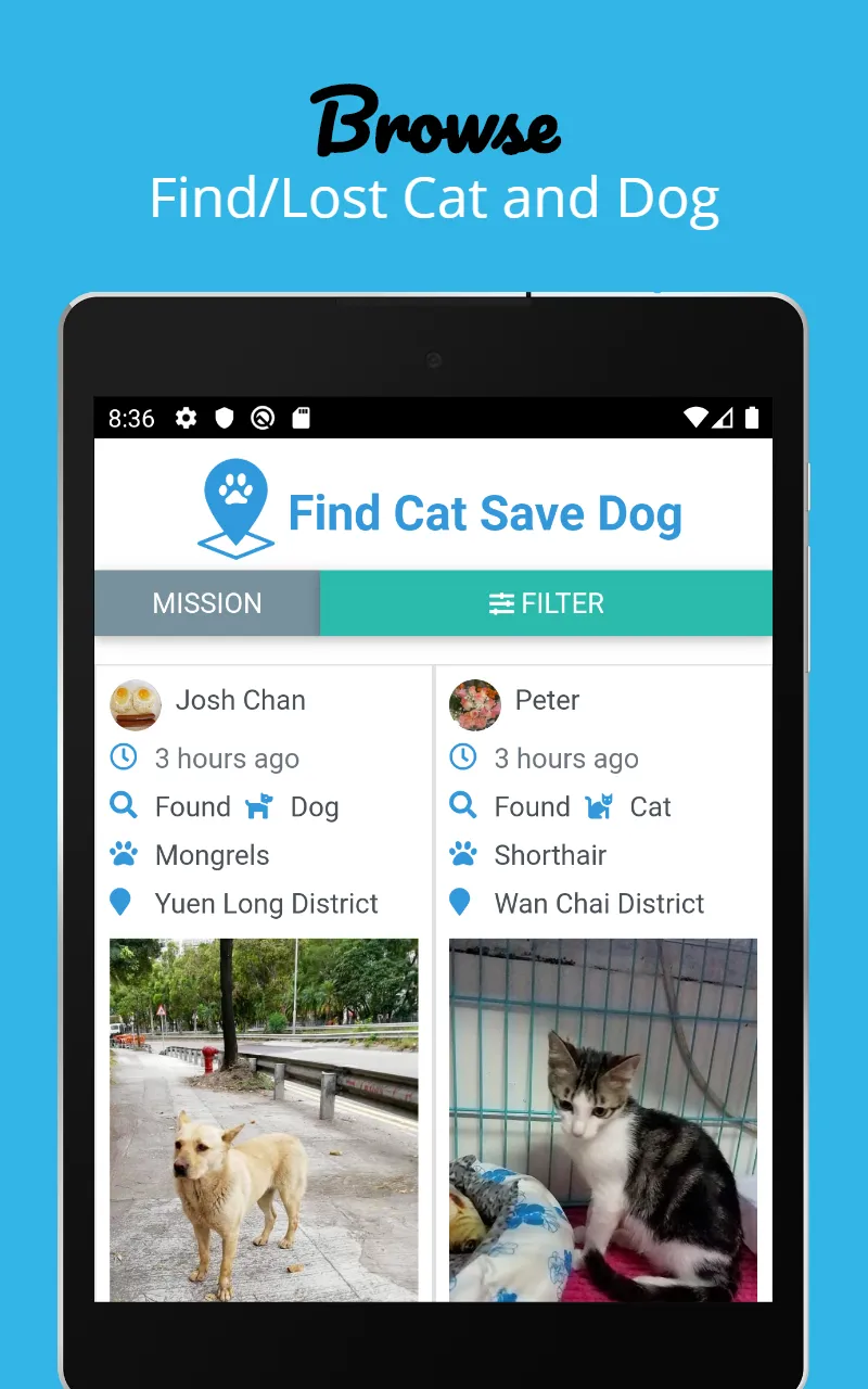 Find Cat Save Dog | Indus Appstore | Screenshot