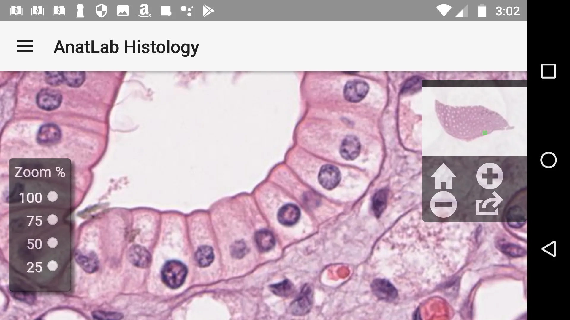 AnatLab Histology | Indus Appstore | Screenshot