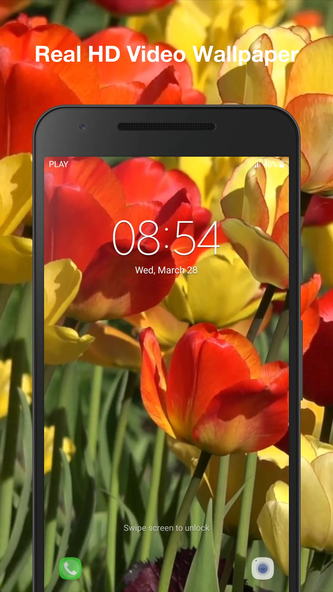 Tulips Live Wallpaper | Indus Appstore | Screenshot