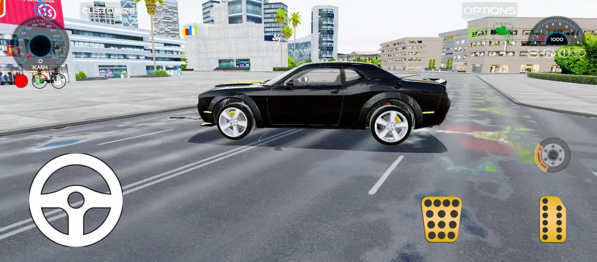 Car Simulator Pro | Indus Appstore | Screenshot