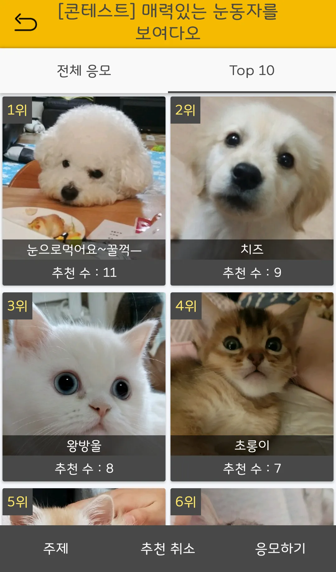 반동라-반려동물,고양이,강아지,유기견후원 | Indus Appstore | Screenshot