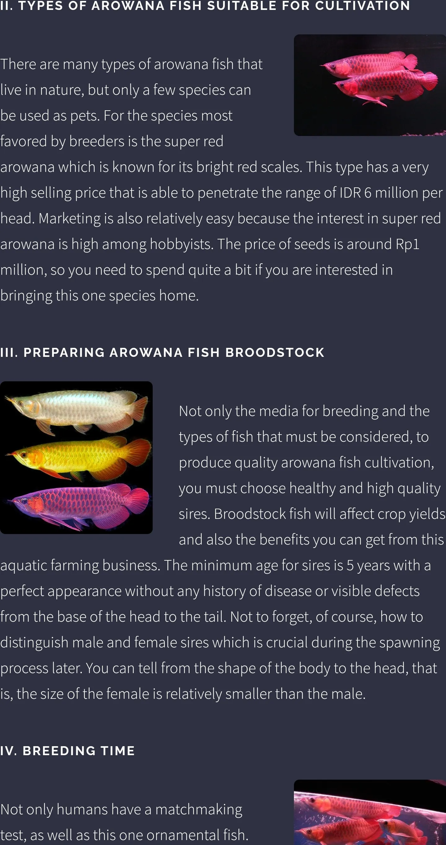 Arowana Fish - Care, Guide | Indus Appstore | Screenshot