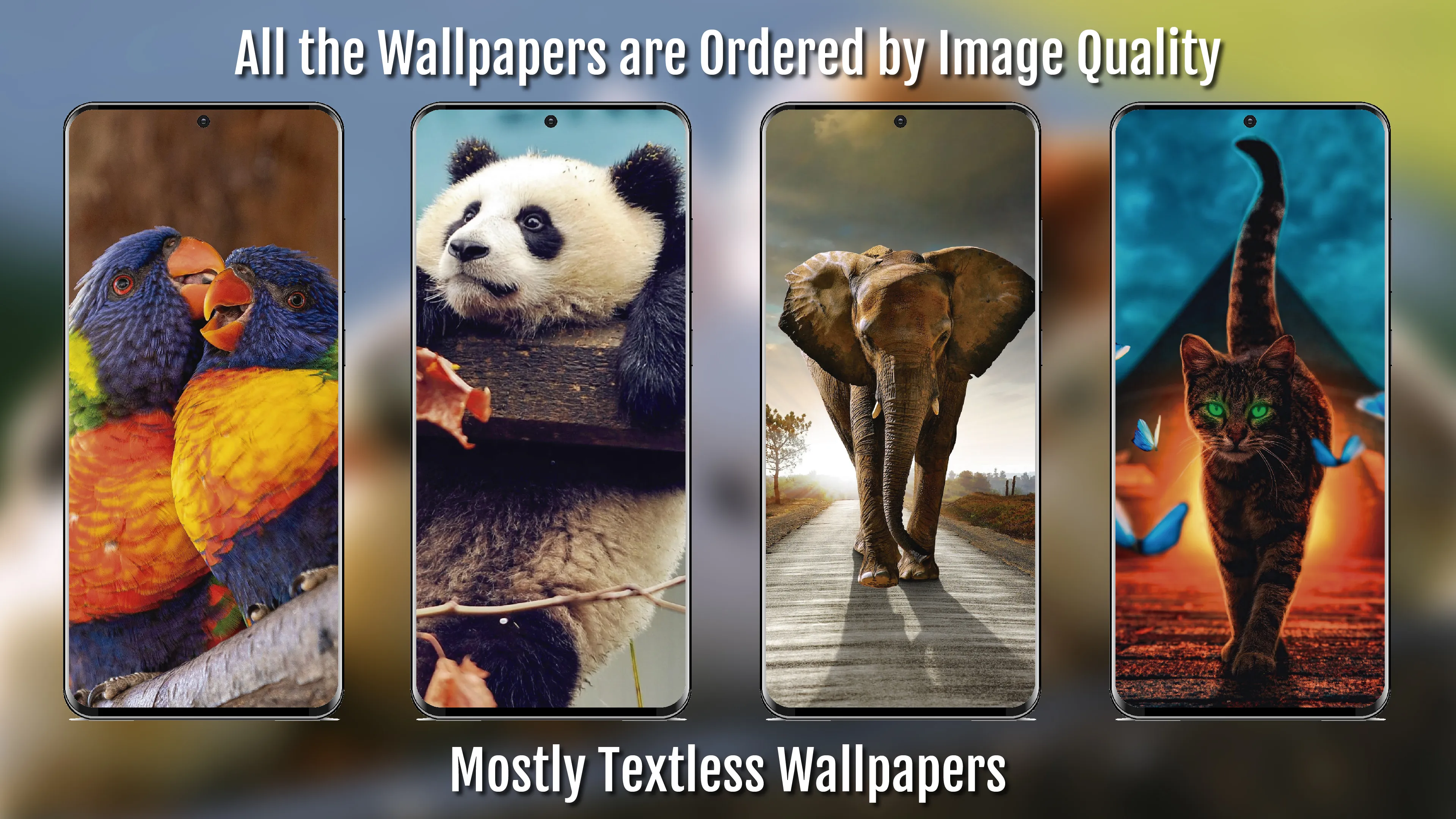 Animal Wallpapers Full HD / 4K | Indus Appstore | Screenshot