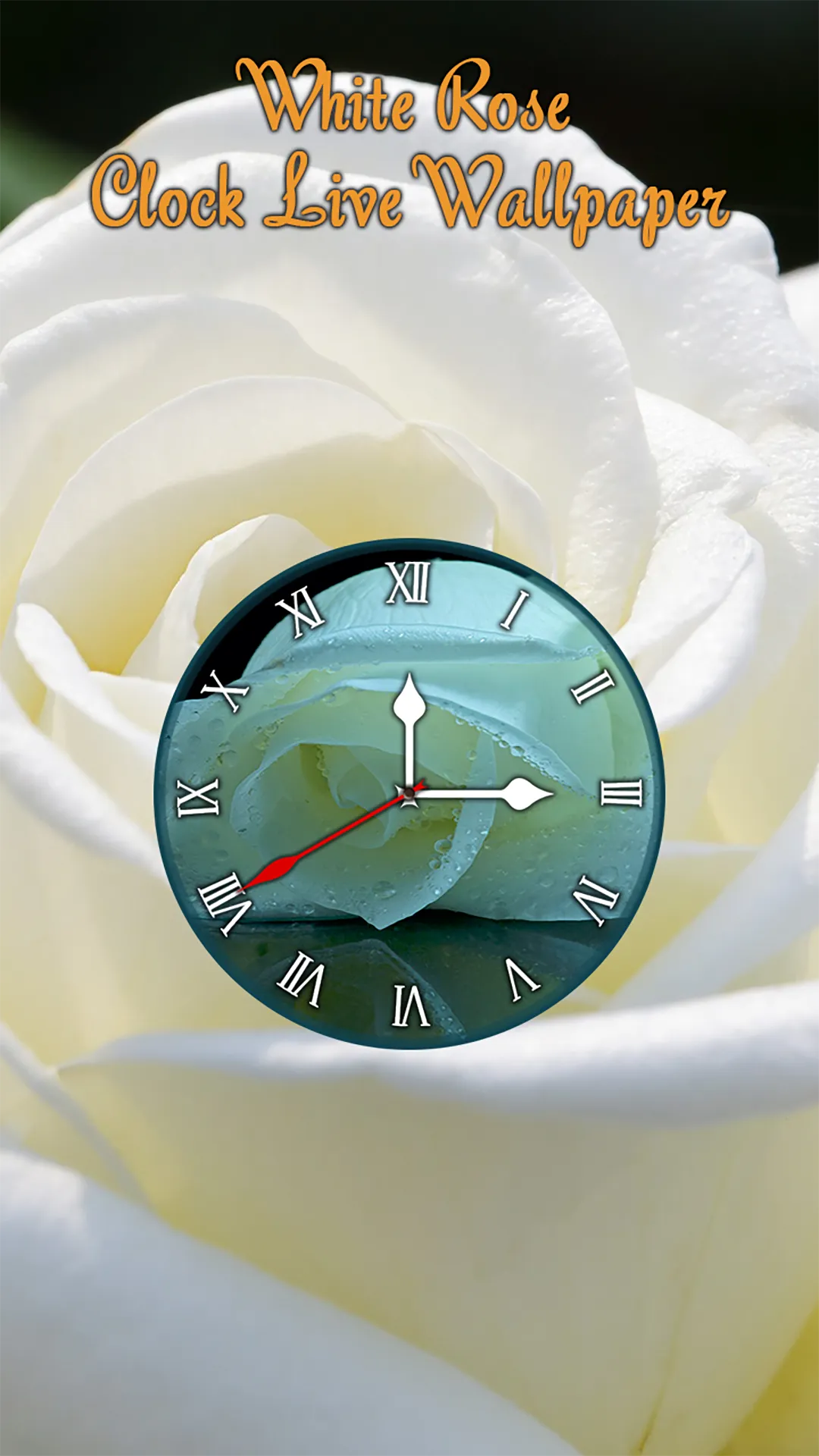 White Rose Clock Wallpaper | Indus Appstore | Screenshot