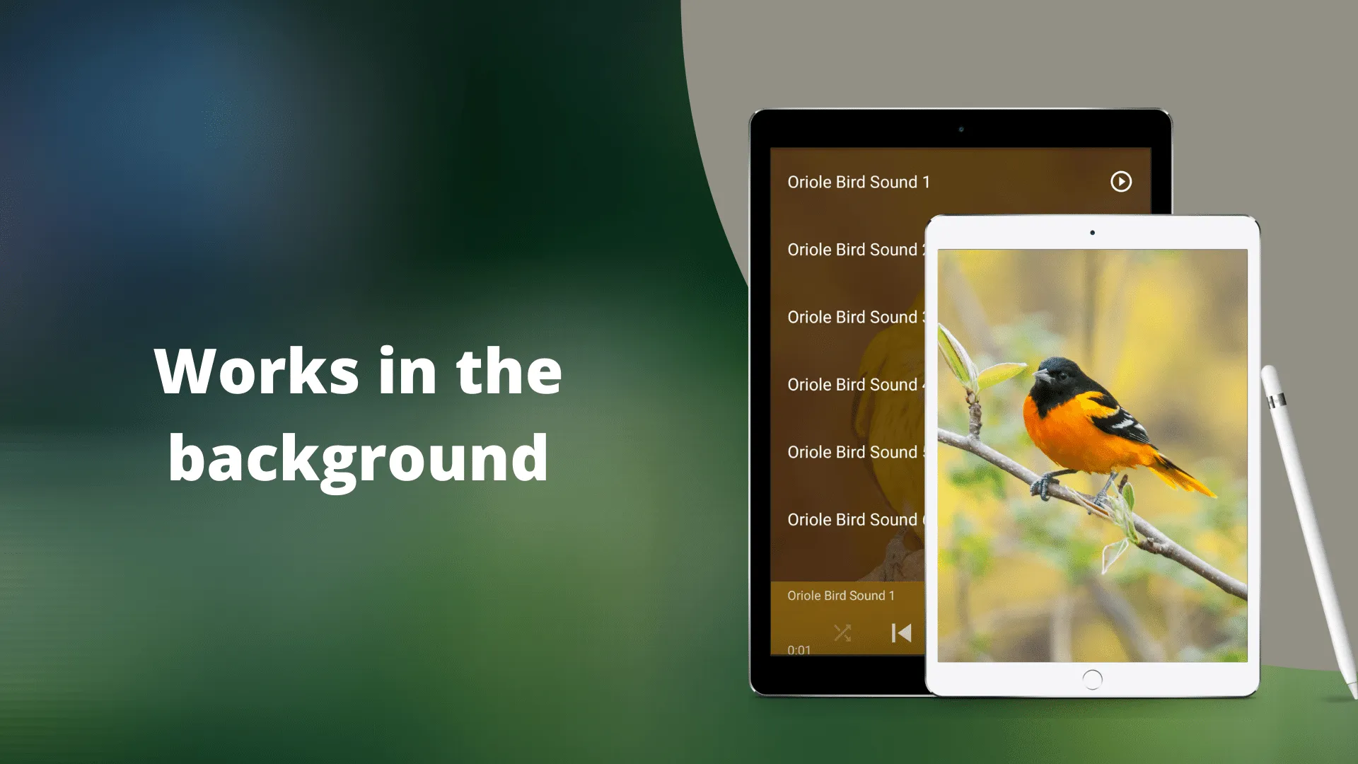 Oriole Bird Sounds | Indus Appstore | Screenshot