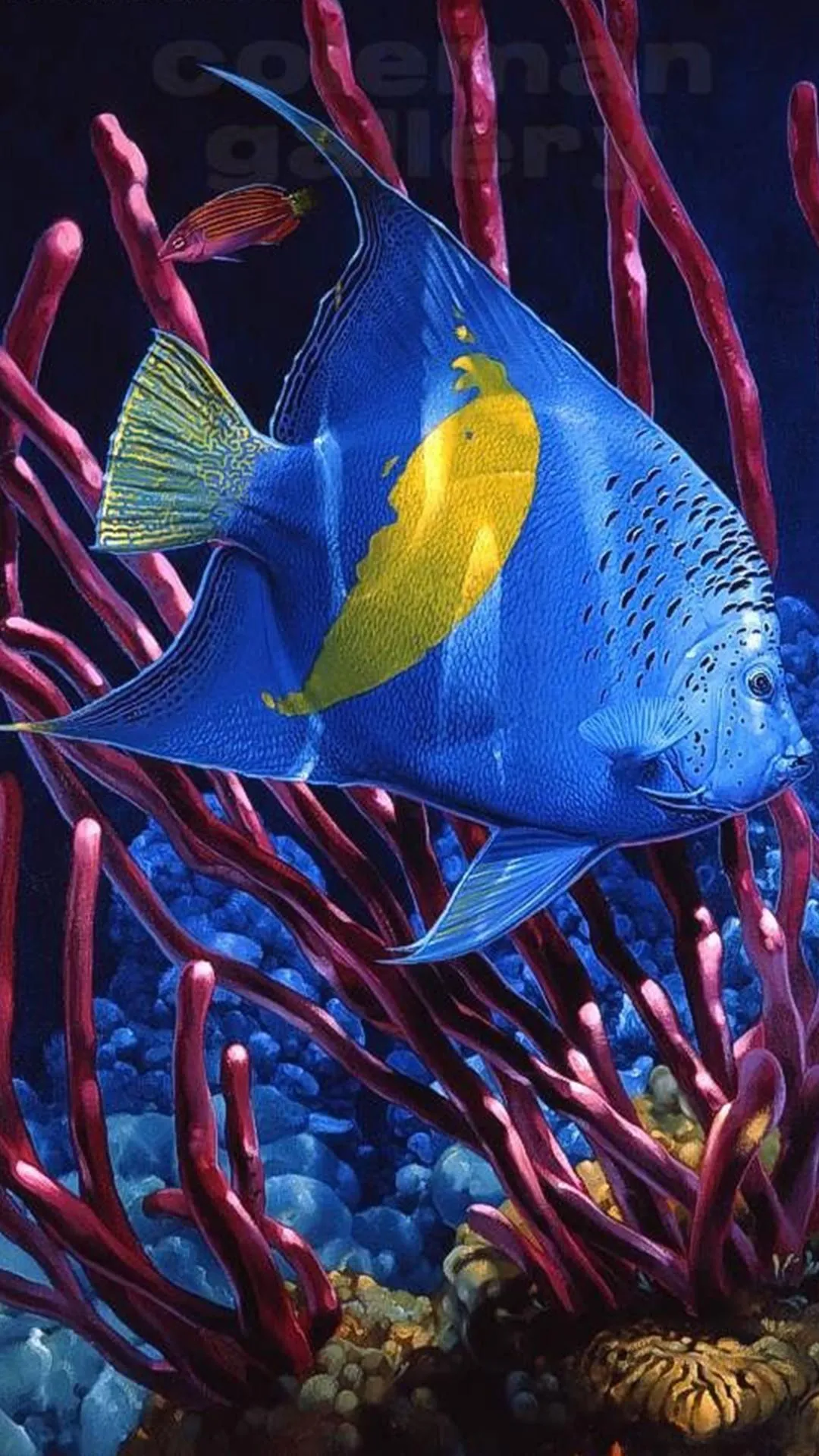 Photo In Water Live Wallpaper | Indus Appstore | Screenshot