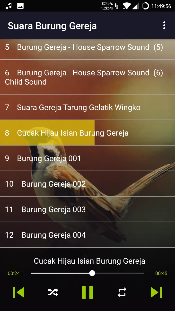 Bird: Eurasian Tree Sparrow | Indus Appstore | Screenshot