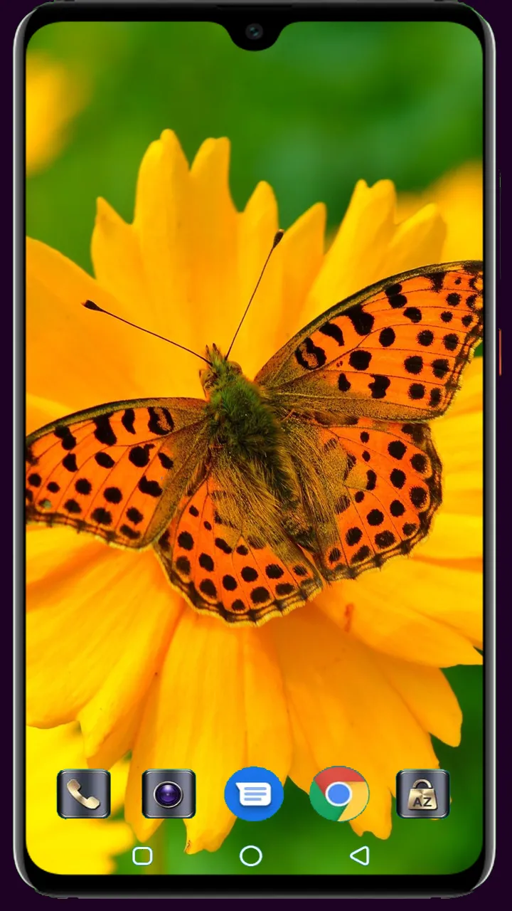 Butterfly Wallpaper | Indus Appstore | Screenshot