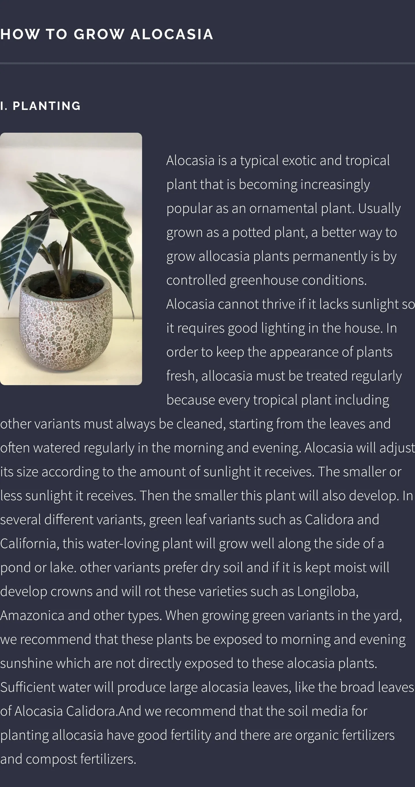 Alocasia Ornamental Plant Guid | Indus Appstore | Screenshot