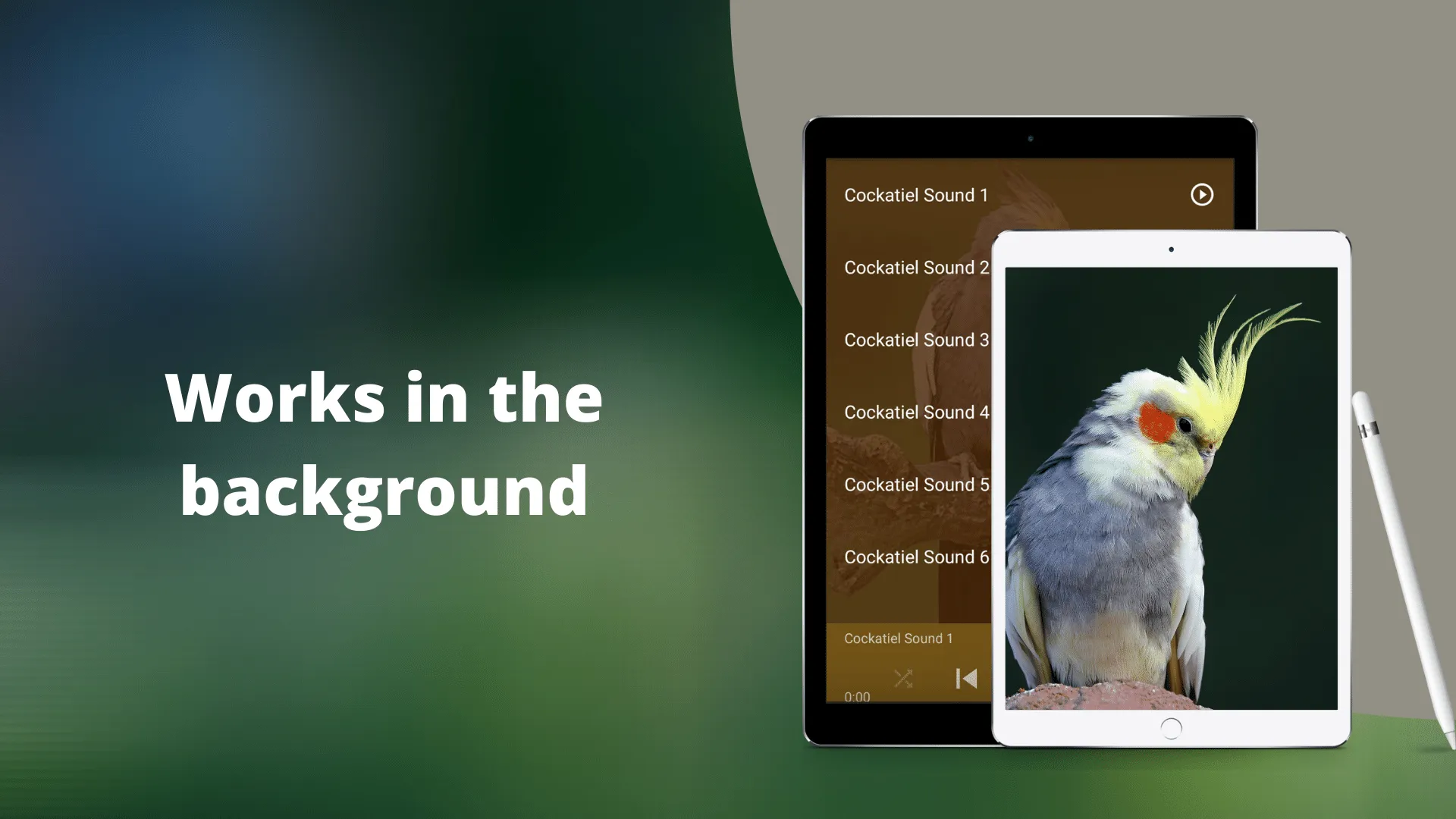 Cockatiel Sounds | Indus Appstore | Screenshot