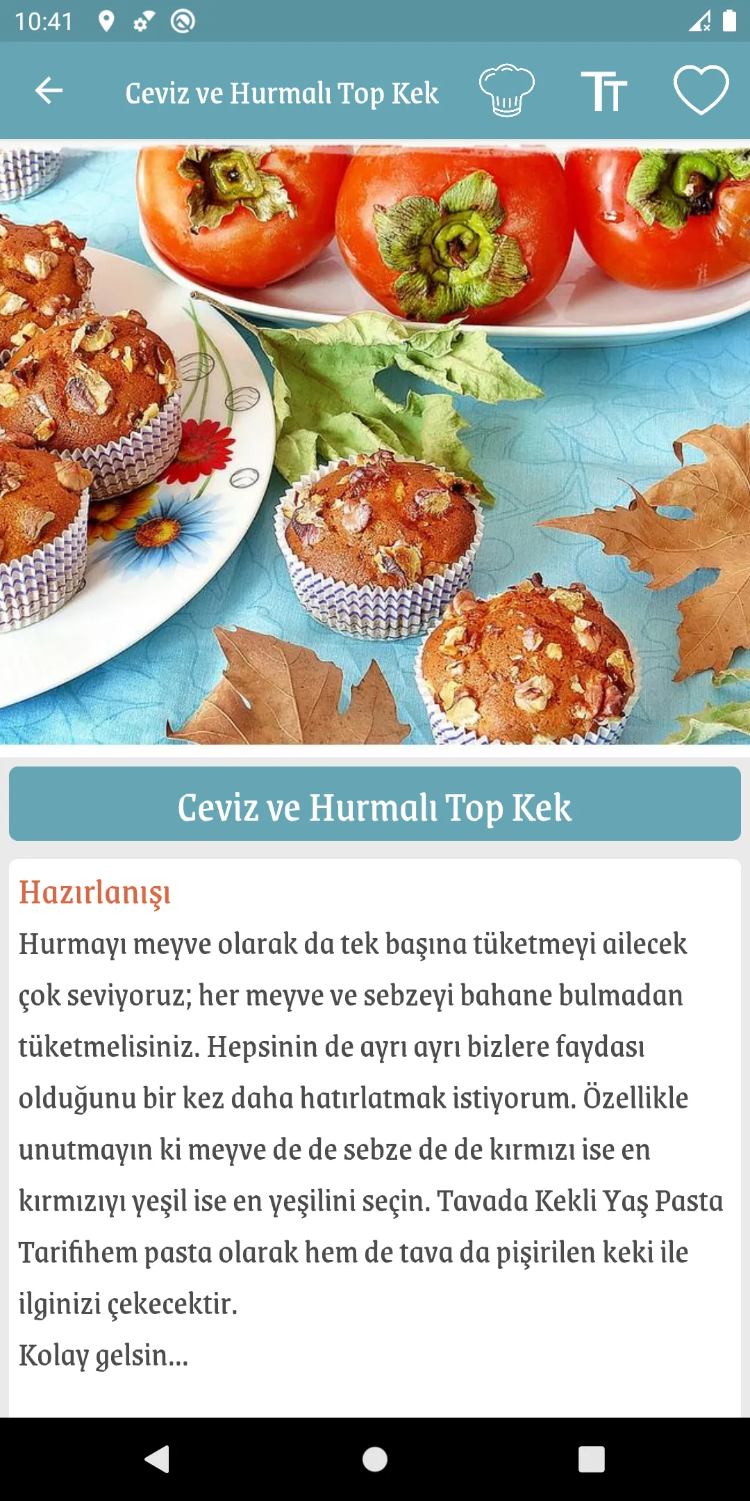 İnternetsiz Yemek Tarifleri | Indus Appstore | Screenshot