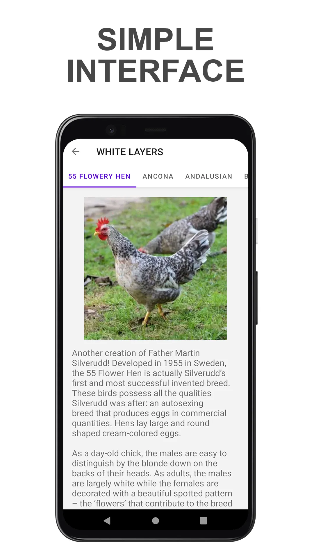 Chicken Breed | Indus Appstore | Screenshot