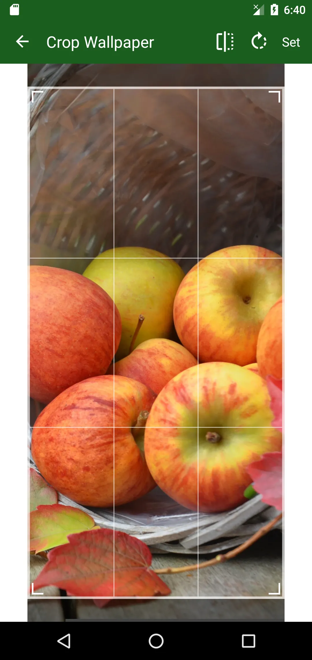 Fruit Wallpapers | Indus Appstore | Screenshot