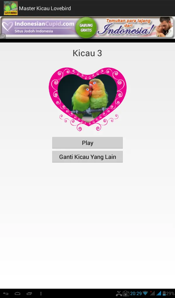 Master Kicau Lovebird | Indus Appstore | Screenshot