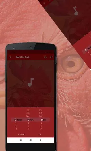 Rooster Sounds | Indus Appstore | Screenshot