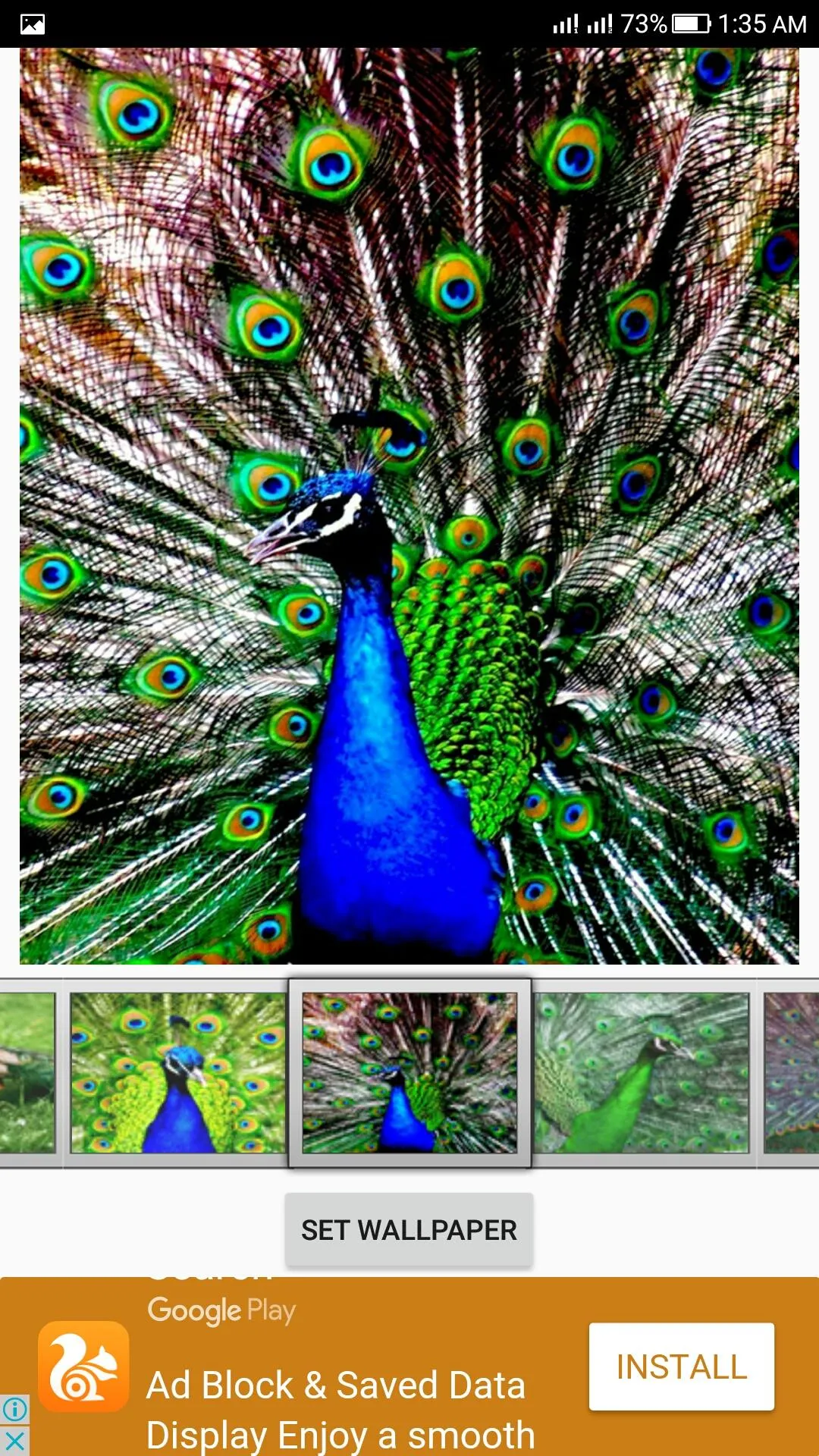 Peacock Live Wallpaper | Indus Appstore | Screenshot