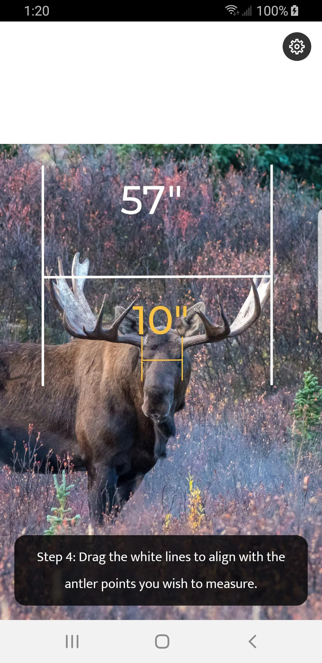 Moose Gauge | Indus Appstore | Screenshot