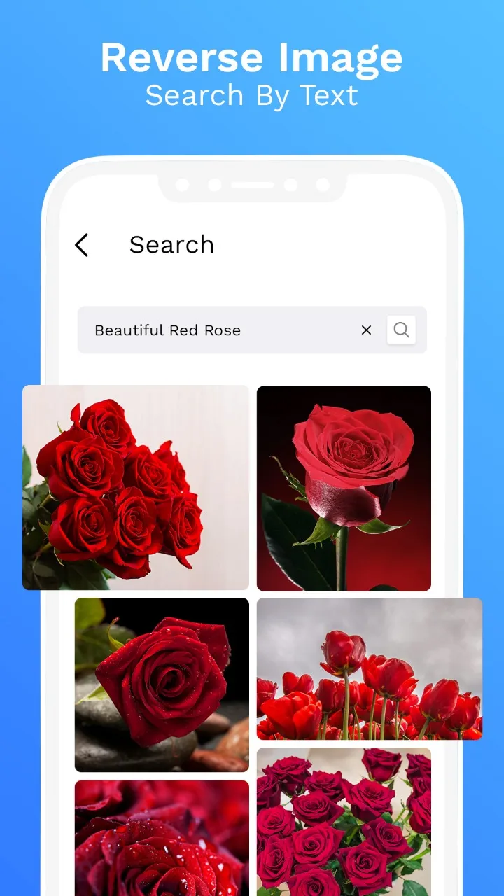 Image Search: Photo Downloader | Indus Appstore | Screenshot