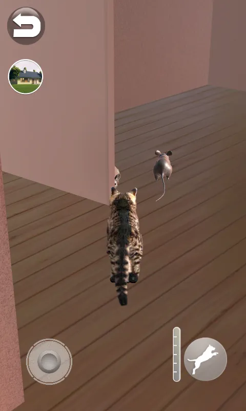 Talking Reality Cat | Indus Appstore | Screenshot